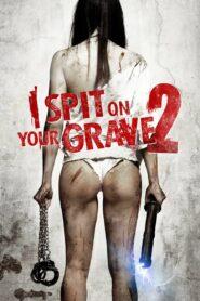 I Spit on Your Grave 2 (2013) เดนนรก ต้องตาย 2