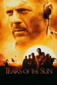 Tears of the Sun (2003) ฝ่ายุทธการสุริยะทมิฬ