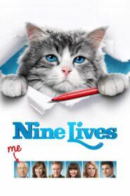 Nine Lives (2016) แมวเก้าชีวิต เพี้ยนสุดโลก