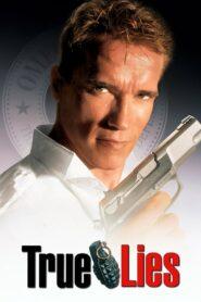 True Lies (1994) คนเหล็ก ผ่านิวเคลียร์