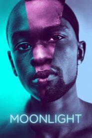 Moonlight (2016) มูนไลท์ ใต้แสงจันทร์ ทุกคนฝันถึงความรัก