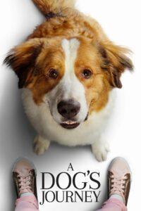 A Dog’s Journey (2019) หมา เป้าหมาย และเด็กชายของผม 2